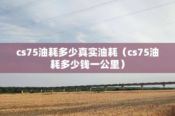 cs75油耗多少真实油耗（cs75油耗多少钱一公里）