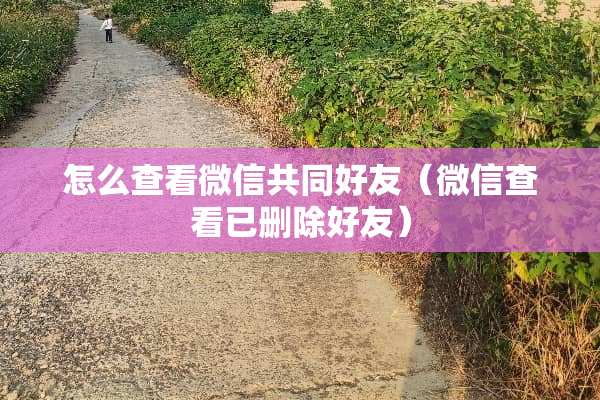 怎么查看微信共同好友（微信查看已删除好友）