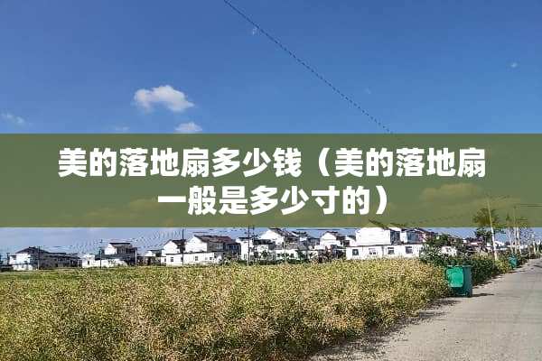 美的落地扇多少钱（美的落地扇一般是多少寸的）