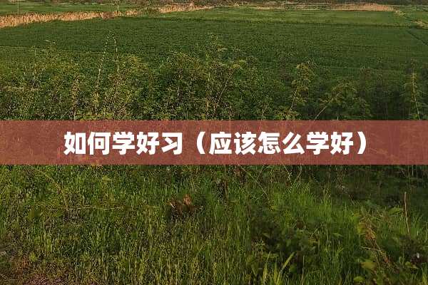 如何学好习（应该怎么学好）