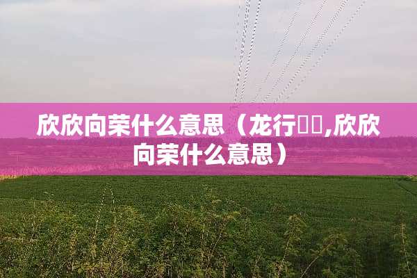 欣欣向荣什么意思（龙行龘龘,欣欣向荣什么意思）