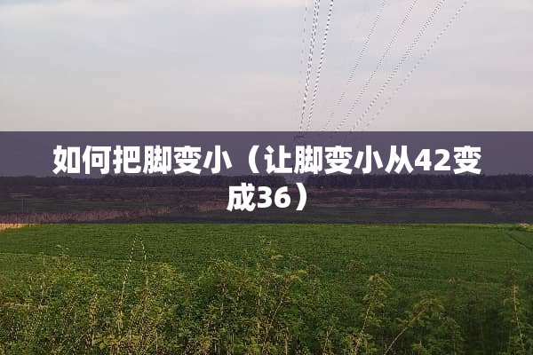 如何把脚变小（让脚变小从42变成36）