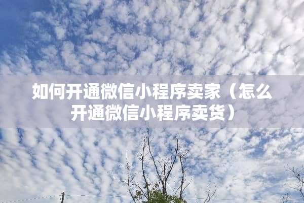 如何开通微信小程序卖家（怎么开通微信小程序卖货）