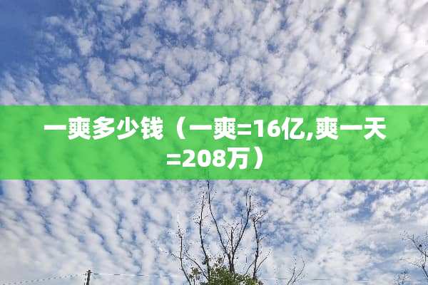 一爽多少钱（一爽=16亿,爽一天=208万）