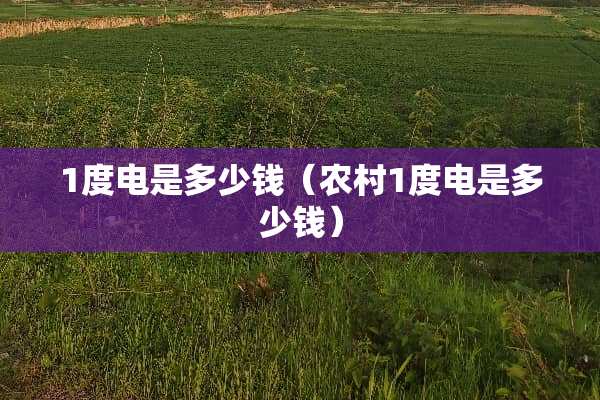 1度电是多少钱（农村1度电是多少钱）