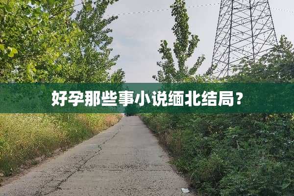 好孕那些事小说缅北结局？