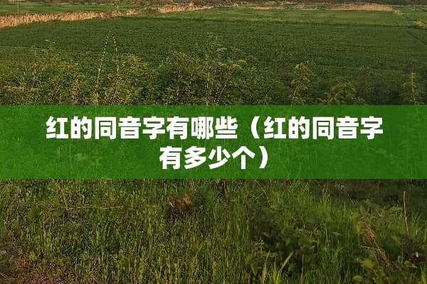红的同音字有哪些（红的同音字有多少个）