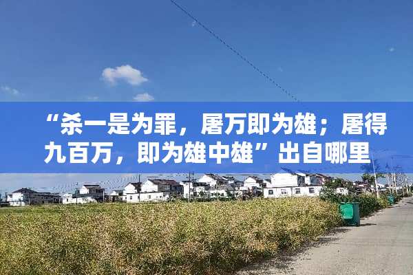 “杀一是为罪，屠万即为雄；屠得九百万，即为雄中雄”出自哪里？