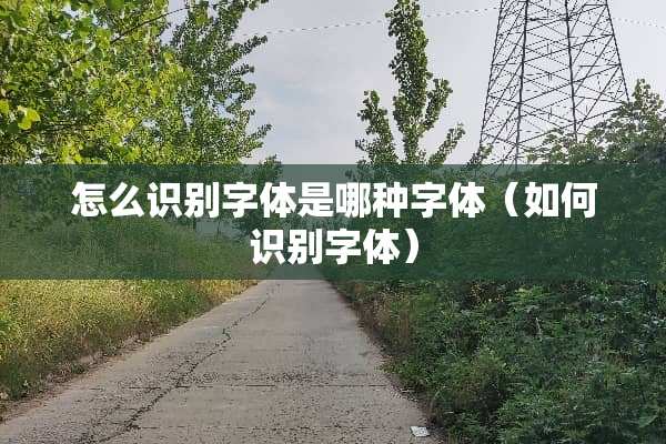 怎么识别字体是哪种字体（如何识别字体）