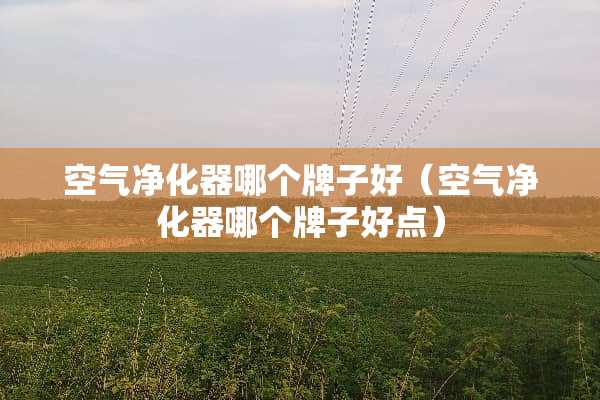 空气净化器哪个牌子好（空气净化器哪个牌子好点）