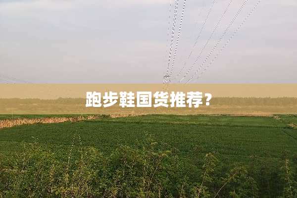 跑步鞋国货推荐？