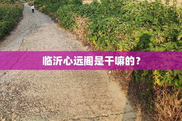 临沂心远阁是干嘛的？