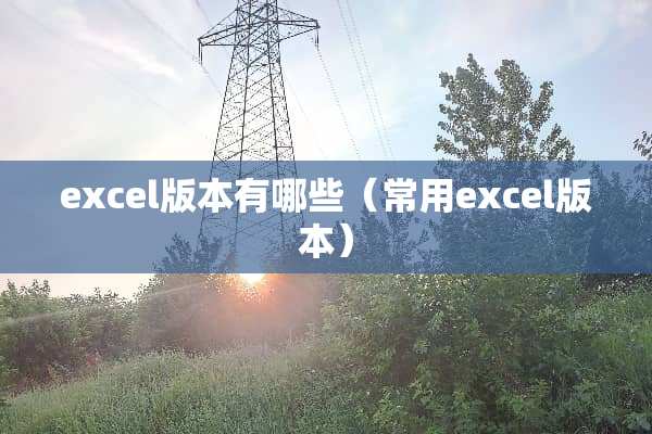 excel版本有哪些（常用excel版本）