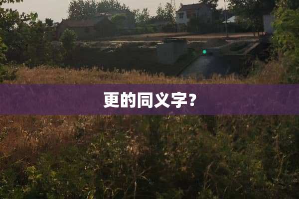 更的同义字？