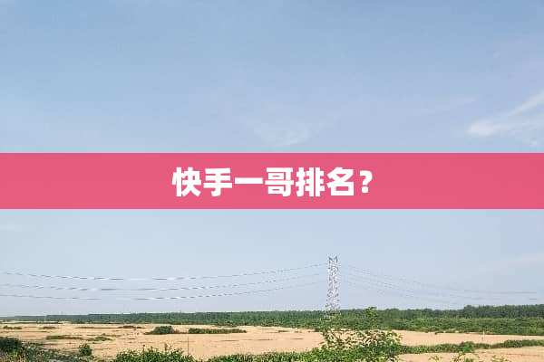 快手一哥排名？