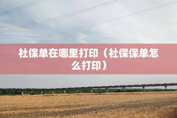 社保单在哪里打印（社保保单怎么打印）