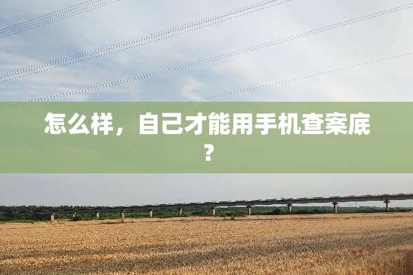 怎么样，自己才能用手机查案底？