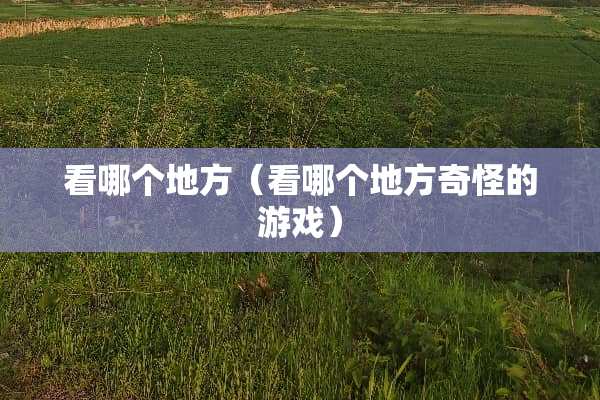 看哪个地方（看哪个地方奇怪的游戏）