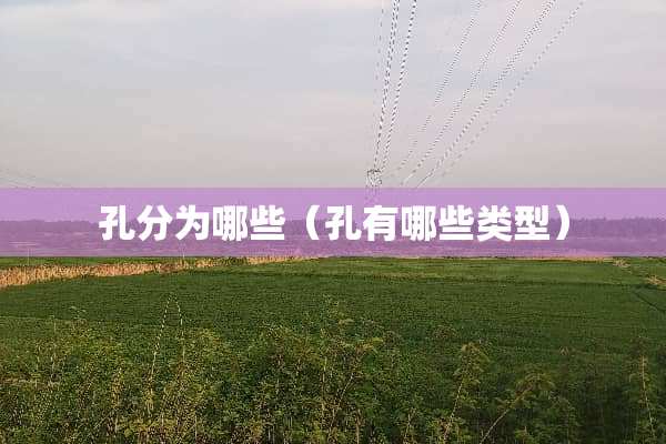 孔分为哪些（孔有哪些类型）