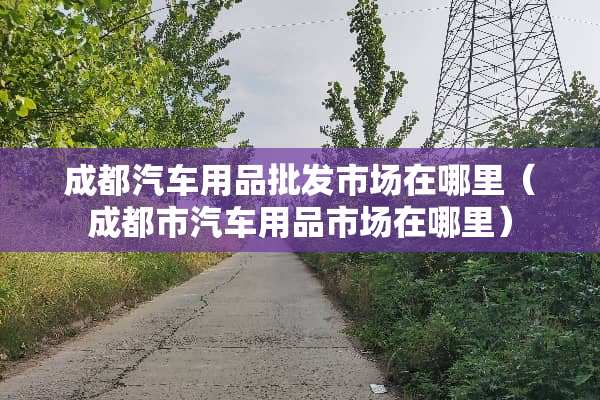 成都汽车用品批发市场在哪里（成都市汽车用品市场在哪里）