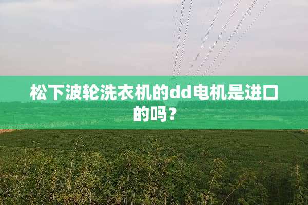 松下波轮洗衣机的dd电机是进口的吗？