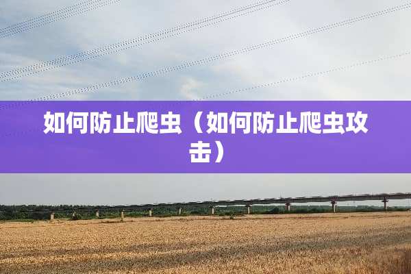 如何防止爬虫（如何防止爬虫攻击）