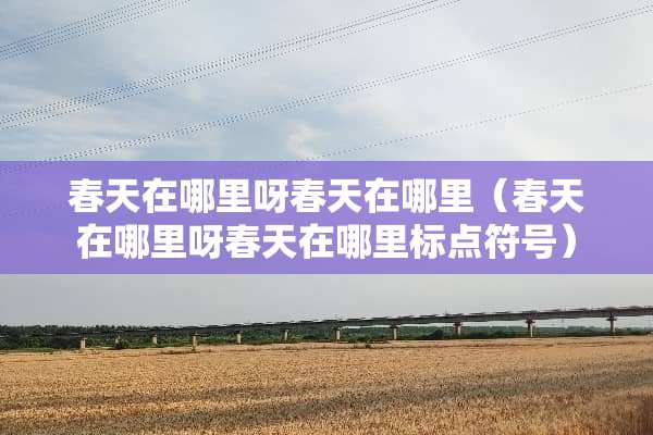春天在哪里呀春天在哪里（春天在哪里呀春天在哪里标点符号）