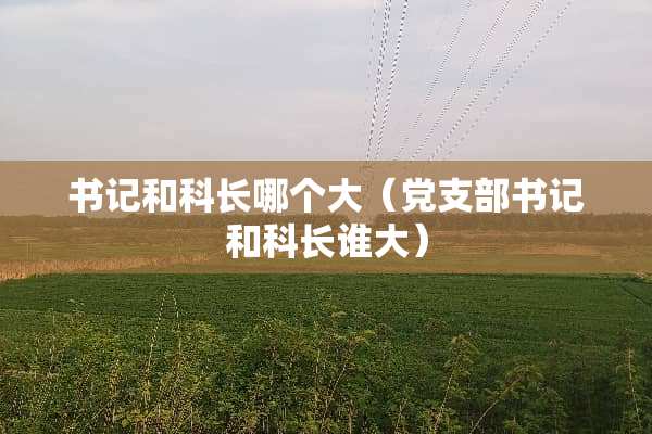 **和科长哪个大（*支部**和科长谁大）