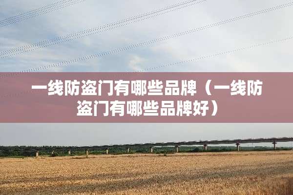 一线防盗门有哪些品牌（一线防盗门有哪些品牌好）