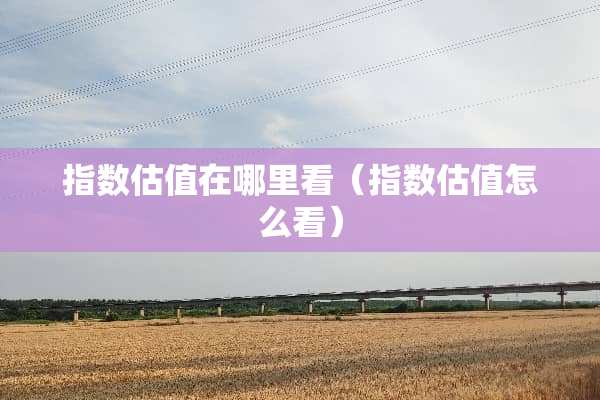 指数估值在哪里看（指数估值怎么看）