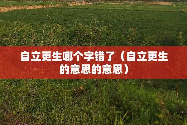 自立更生哪个字错了（自立更生的意思的意思）