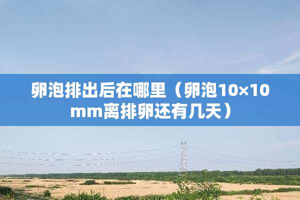 卵泡排出后在哪里（卵泡10×10mm离排卵还有几天）