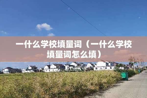 一什么学校填量词（一什么学校填量词怎么填）