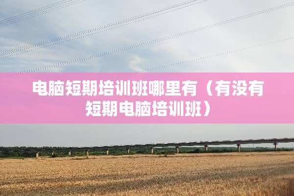 电脑短期培训班哪里有（有没有短期电脑培训班）