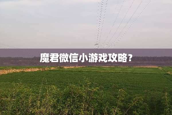 魔君微信小游戏攻略？
