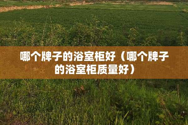 哪个牌子的浴室柜好（哪个牌子的浴室柜质量好）