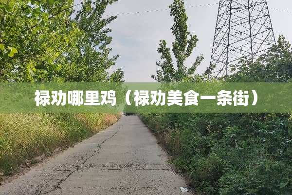 禄劝哪里鸡（禄劝美食一条街）
