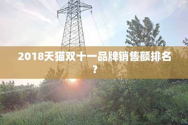 2018天猫双十一品牌销售额排名？