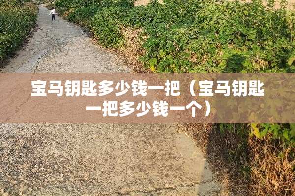 宝马钥匙多少钱一把（宝马钥匙一把多少钱一个）