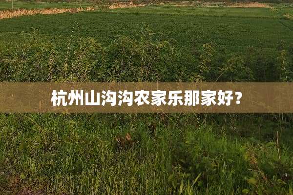 杭州山沟沟农家乐那家好？