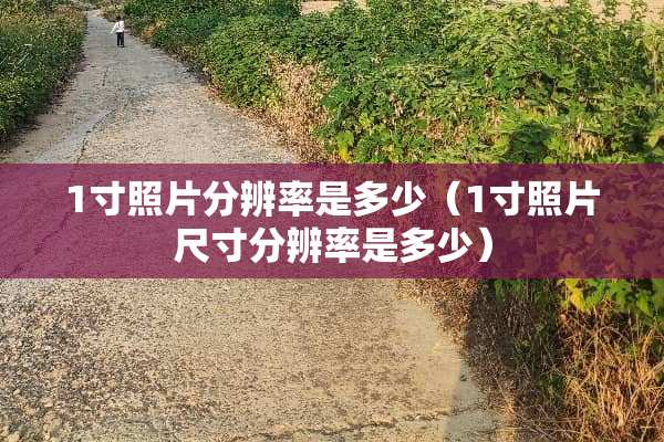1寸照片分辨率是多少（1寸照片尺寸分辨率是多少）