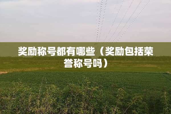 奖励称号都有哪些（奖励包括荣誉称号吗）