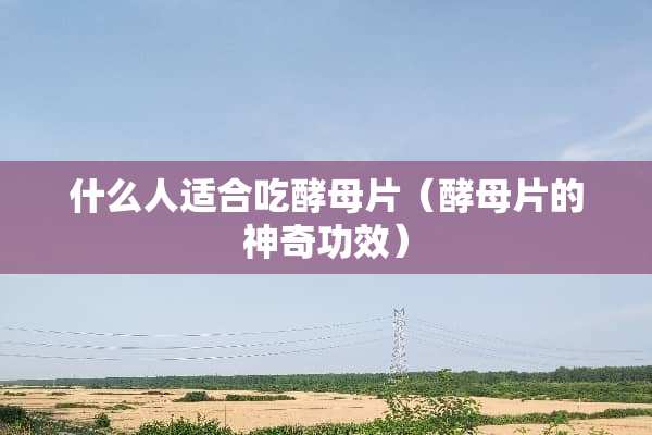 什么人适合吃酵母片（酵母片的神奇功效）