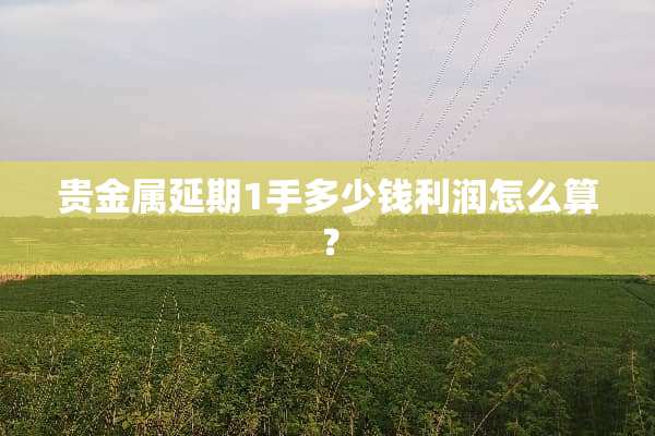 贵金属延期1手多少钱利润怎么算？
