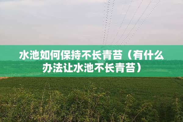 水池如何保持不长青苔（有什么办法让水池不长青苔）