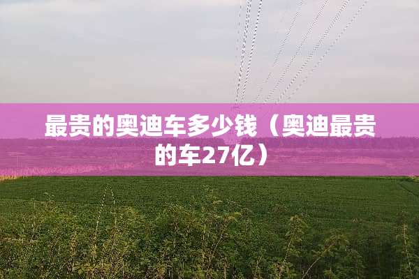 最贵的奥迪车多少钱（奥迪最贵的车27亿）