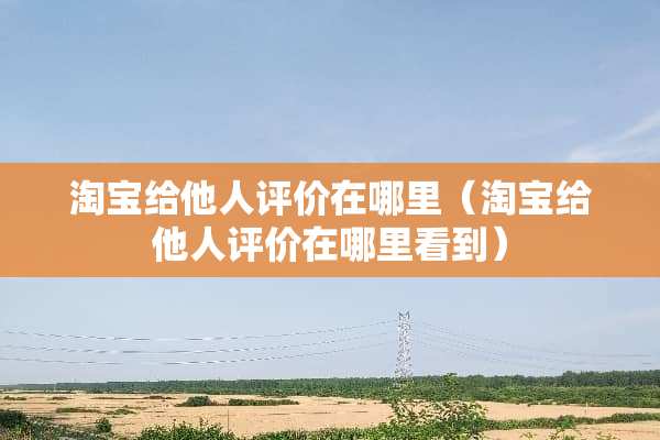 淘宝给他人评价在哪里（淘宝给他人评价在哪里看到）