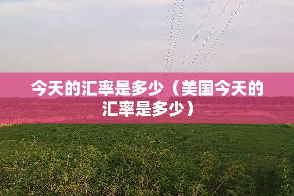 今天的汇率是多少（美国今天的汇率是多少）