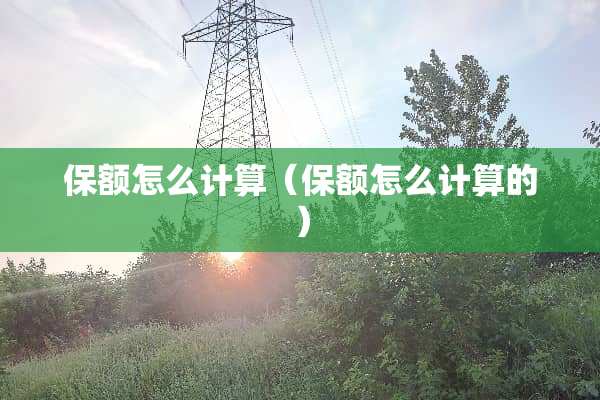 保额怎么计算（保额怎么计算的）