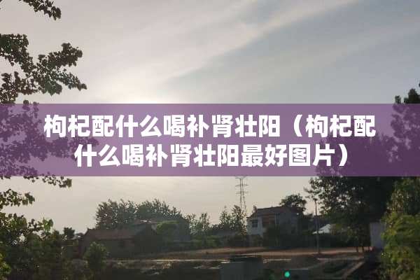 枸杞配什么喝补肾壮阳（枸杞配什么喝补肾壮阳最好图片）